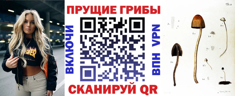 Галлюциногенные грибы GOLDEN TEACHER  закладки  Алейск 